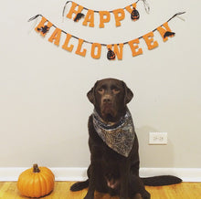 Load image into Gallery viewer, Halloween Dog Bandana