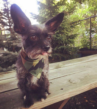 Load image into Gallery viewer, Camo Dog Bandana