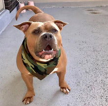 Load image into Gallery viewer, Camo Dog Bandana