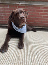 Load image into Gallery viewer, Tan + Black Winter Flannel Bandana