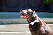 Load image into Gallery viewer, White &amp; Gold Bow Tie